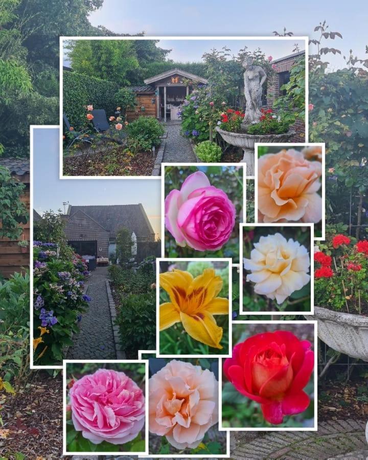 La Rose Panzió NeerNeerpelt Kültér fotó