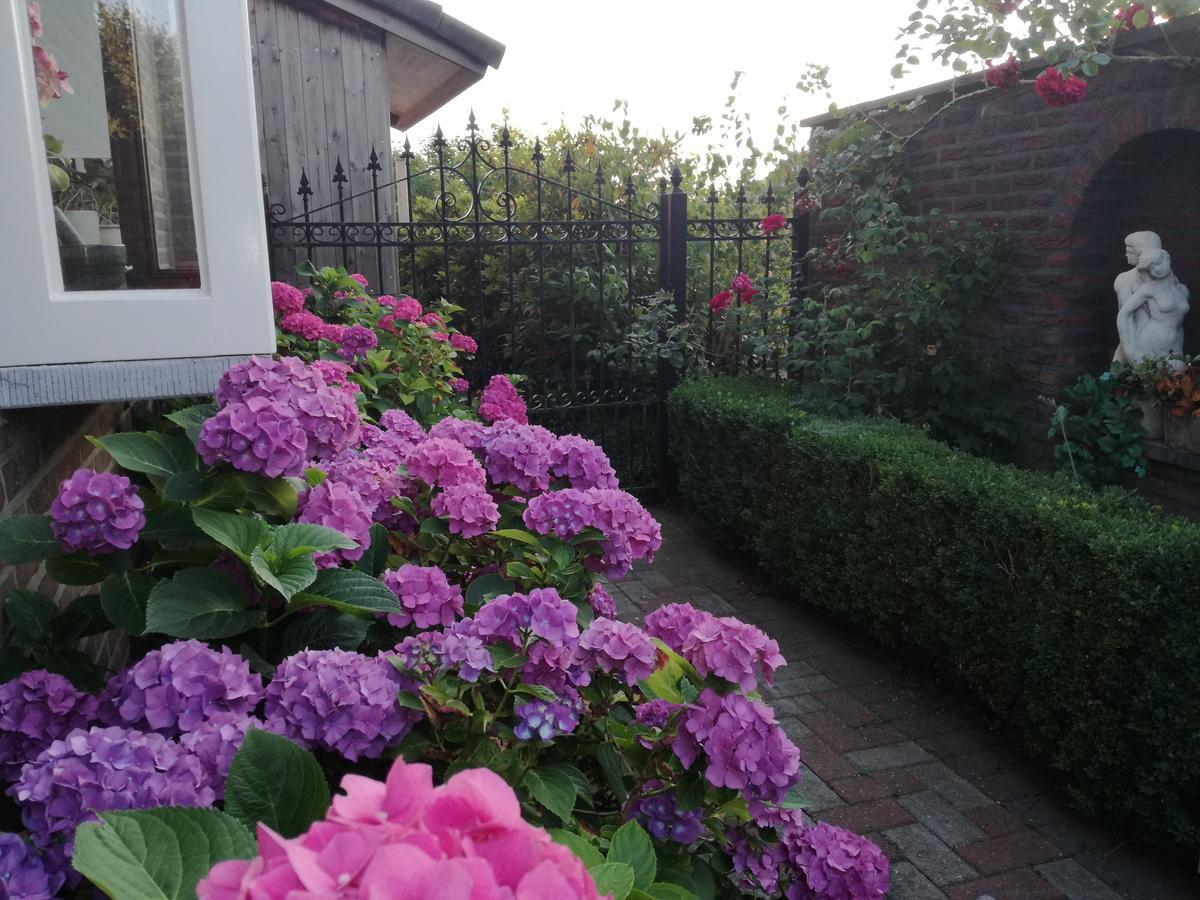 La Rose Panzió NeerNeerpelt Kültér fotó